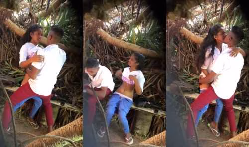 Munnar collage couple outdoor sex