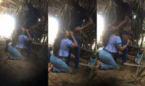 Munnar collage hot girl give blowjob in outdoor